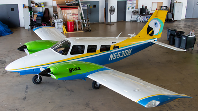 Piper Seneca