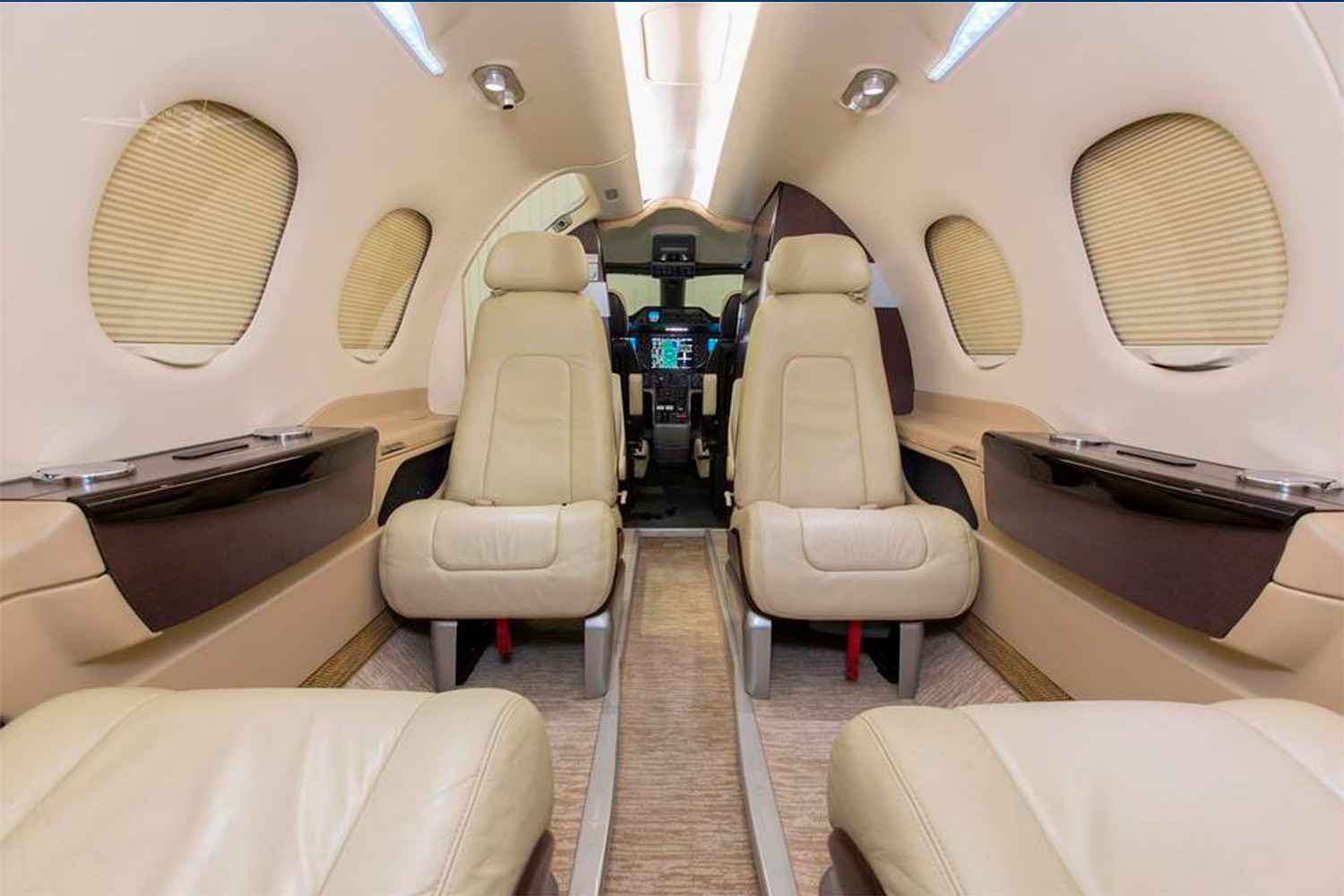 Phenom 100