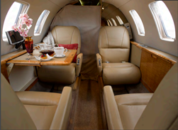 Citation CJ1
