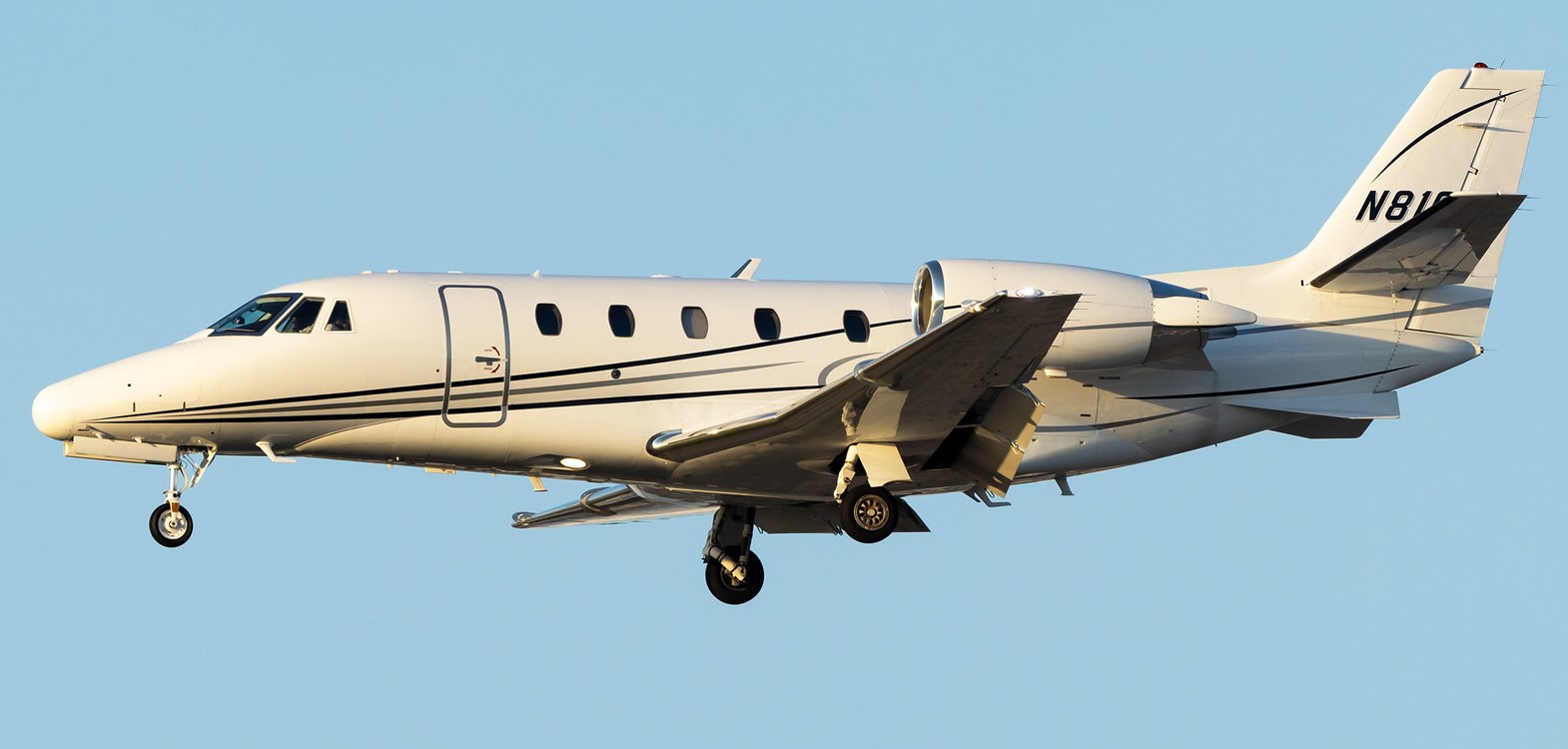 CITATION XLS