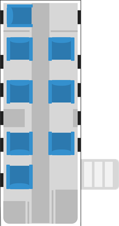 Phenom 300